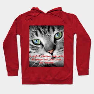 I gatti lasciano impronte di zampa nel tuo cuore per sempre Hoodie